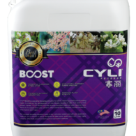 CYLI BOOST 1